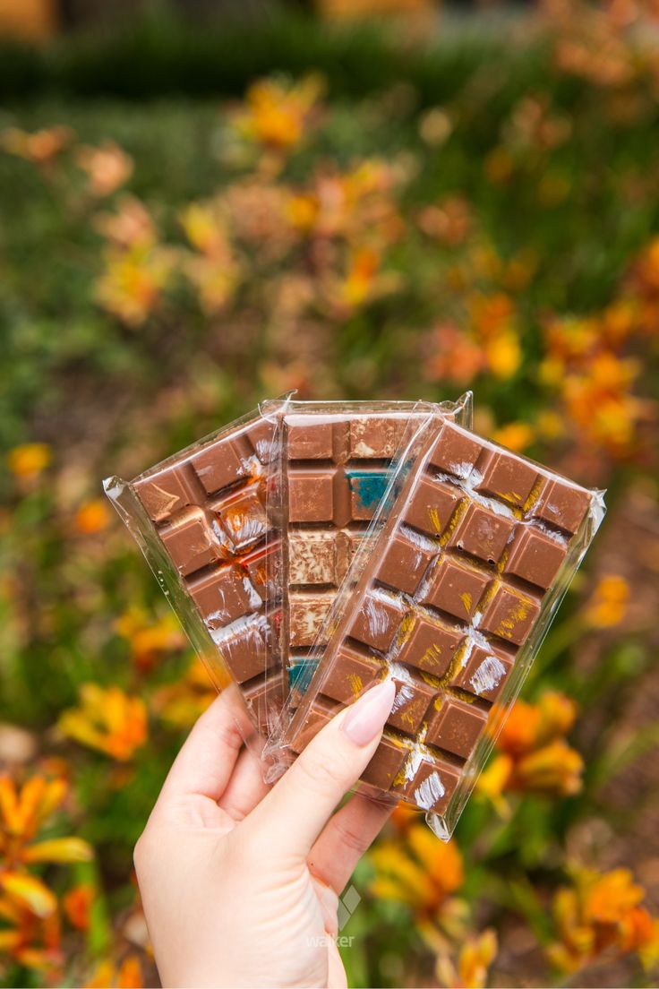 Chocolates